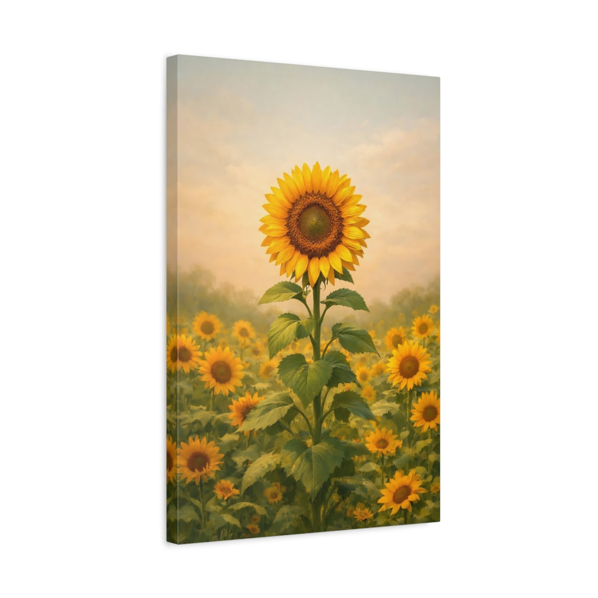 Floral Sunflower Yellow Field - Canvas Wall Art Print