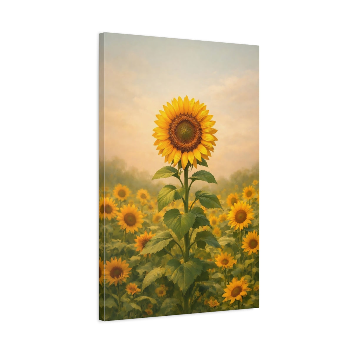 Floral Sunflower Yellow Field - Canvas Wall Art Print