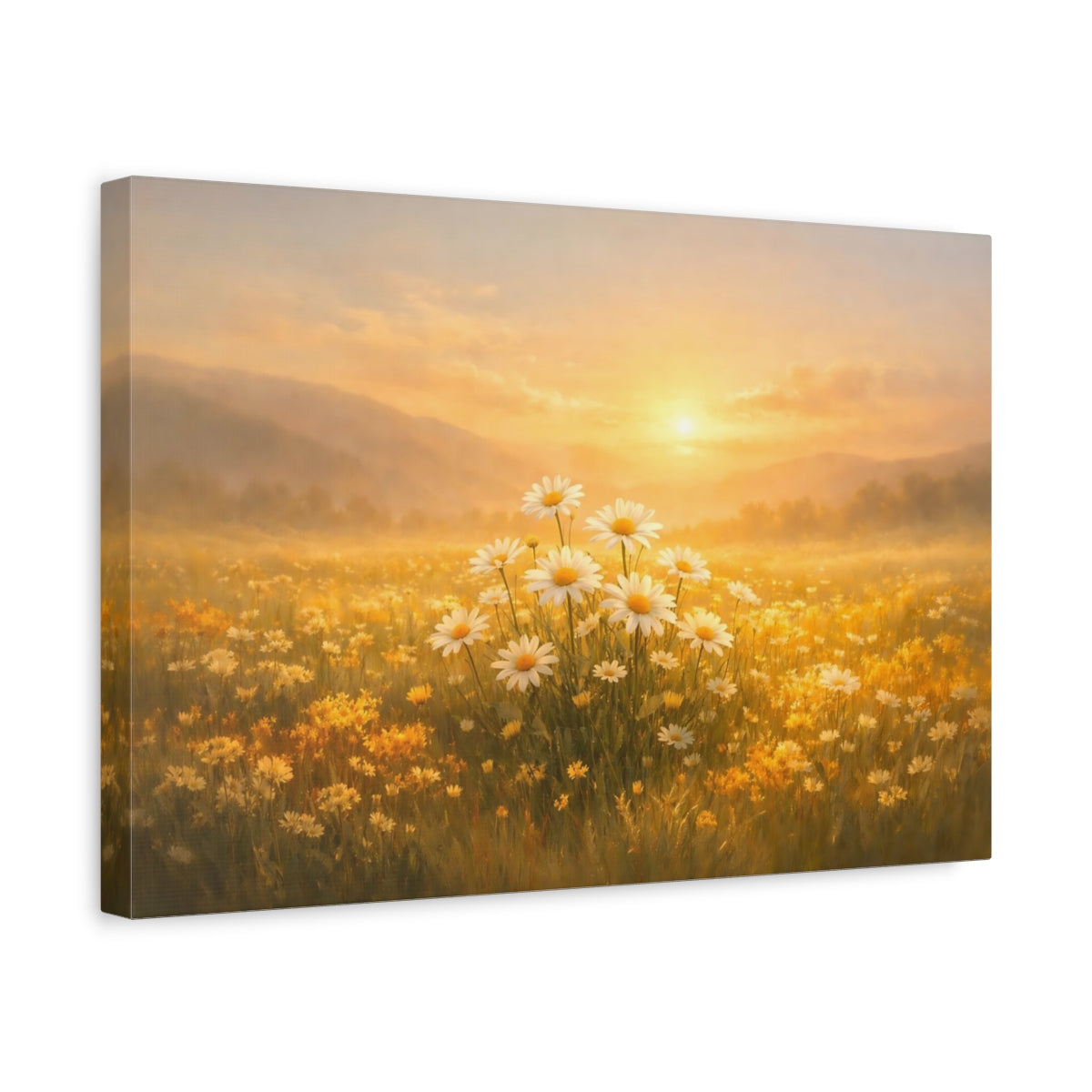 Nature Daisies Golden Field - Canvas Wall Art Print