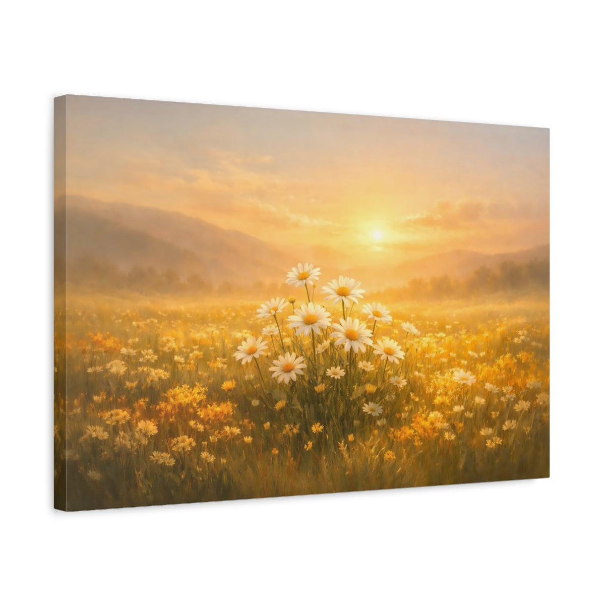 Nature Daisies Golden Field - Canvas Wall Art Print