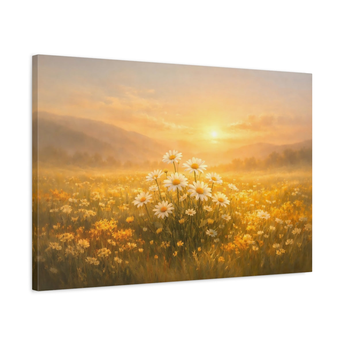 Nature Daisies Golden Field - Canvas Wall Art Print