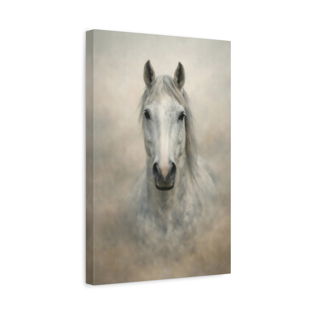 Animals Horse White Grey - Canvas Wall Art Print