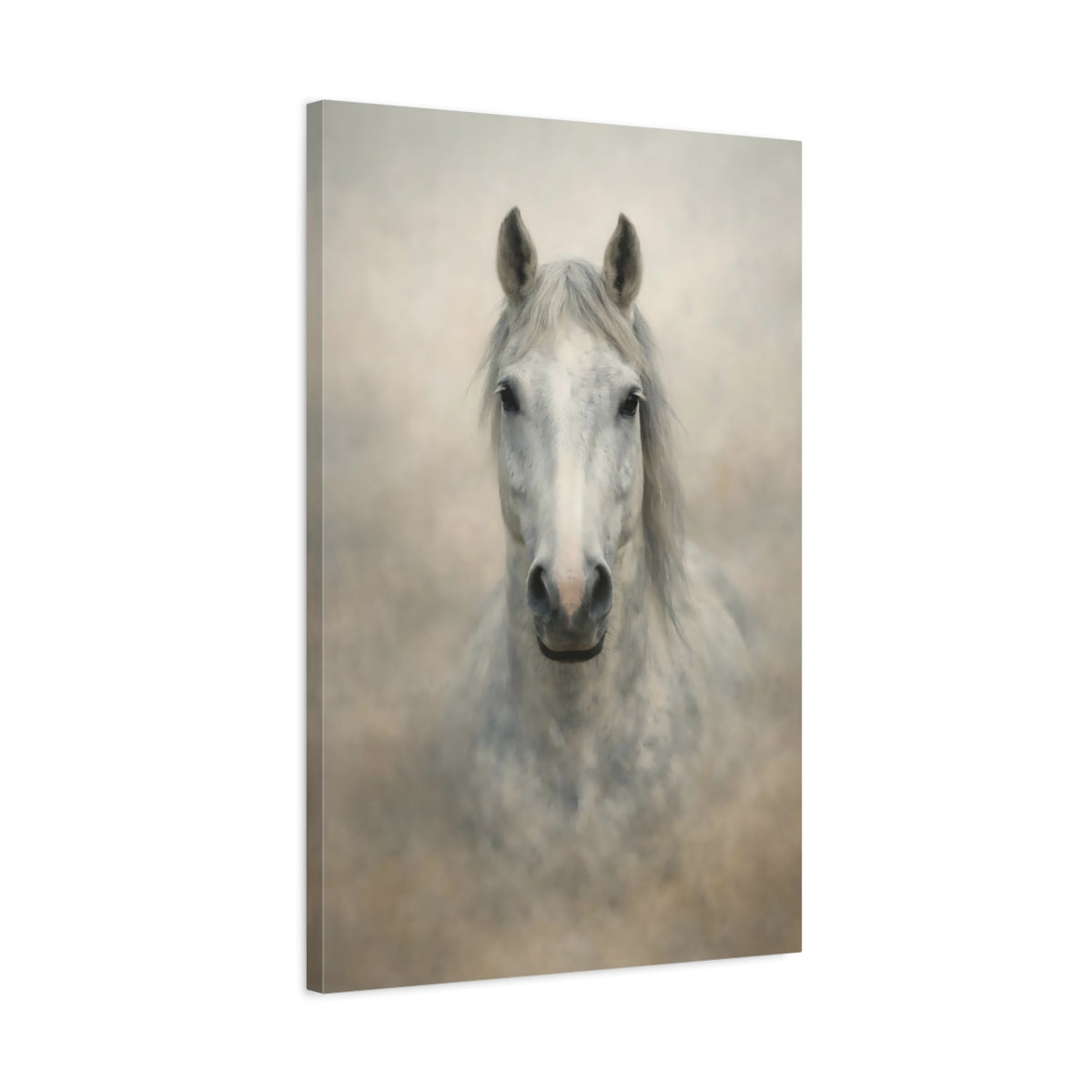 Animals Horse White Grey - Canvas Wall Art Print