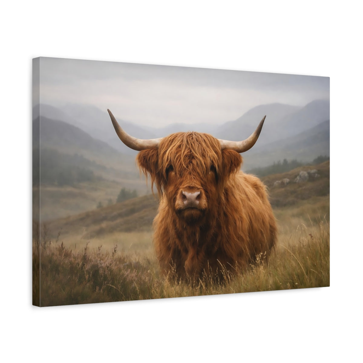 Nature Highland Cow Portrait Animals - Canvas Wall Art Print