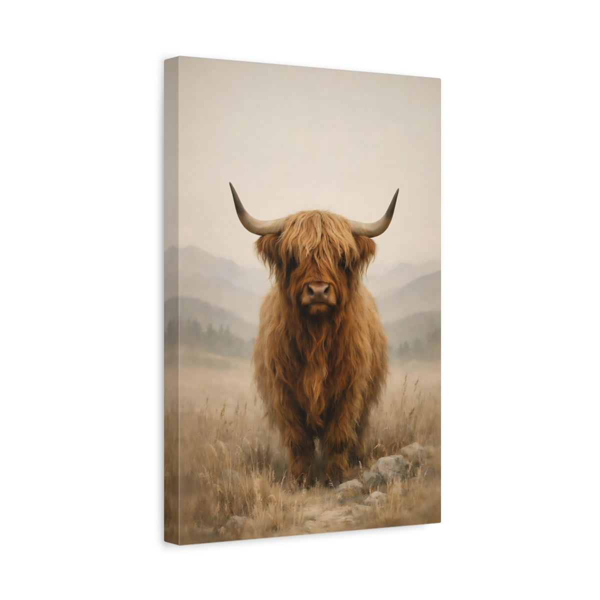 Animaux Vache Écossaise Brune - Impression sur Toile