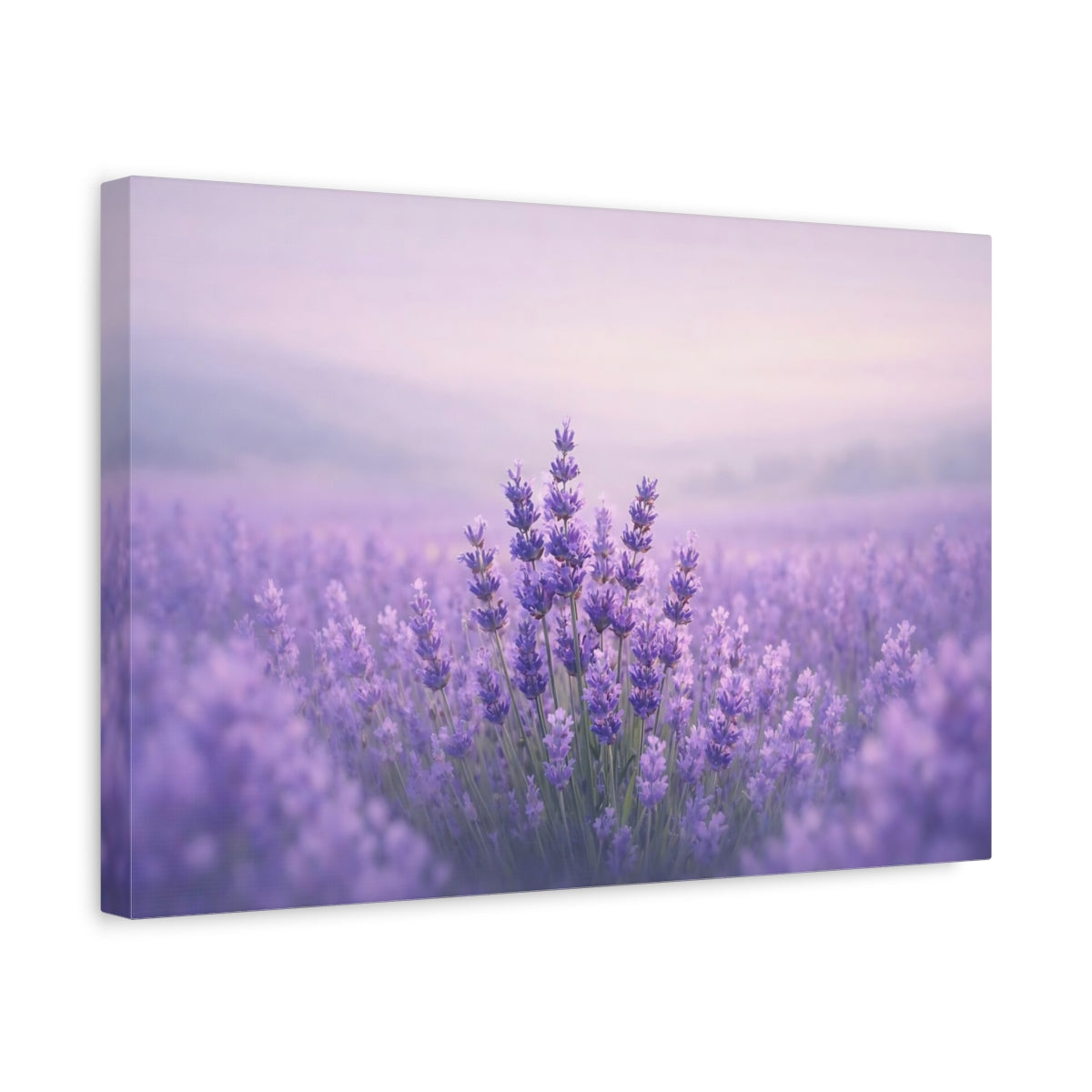 Contemporary Lavender Field Floral - Canvas Wall Art Print