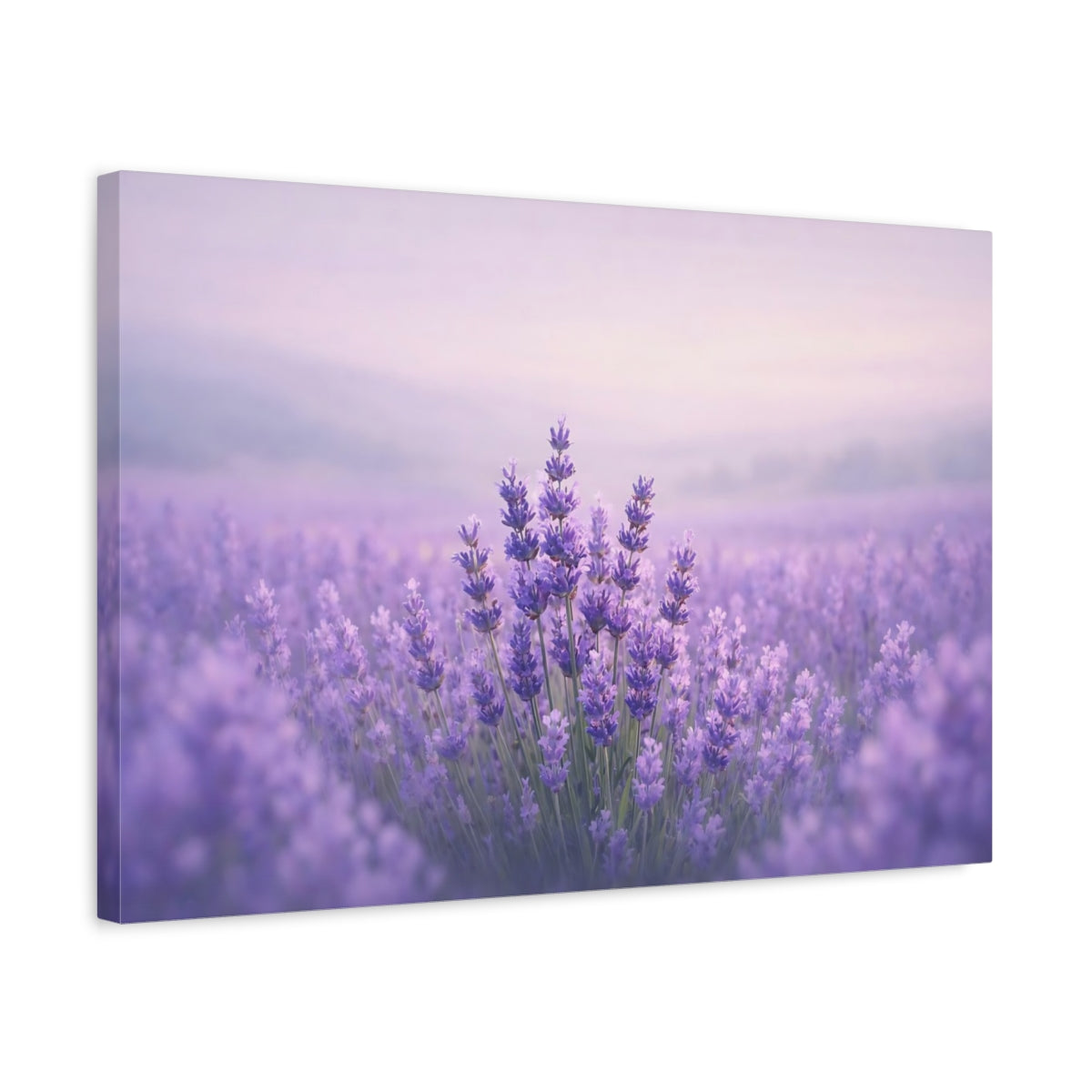 Contemporary Lavender Field Floral - Canvas Wall Art Print