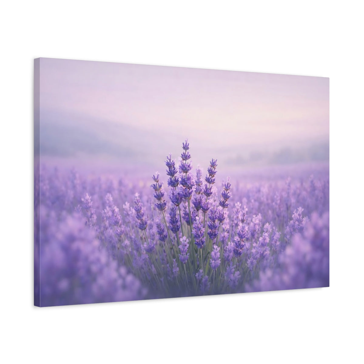 Contemporary Lavender Field Floral - Canvas Wall Art Print