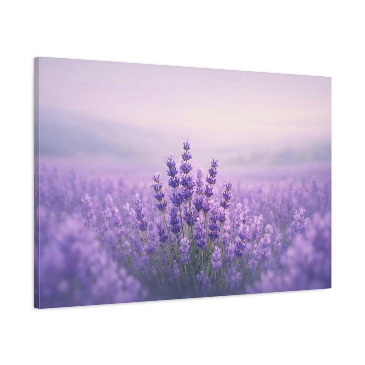 Contemporary Lavender Field Floral - Canvas Wall Art Print