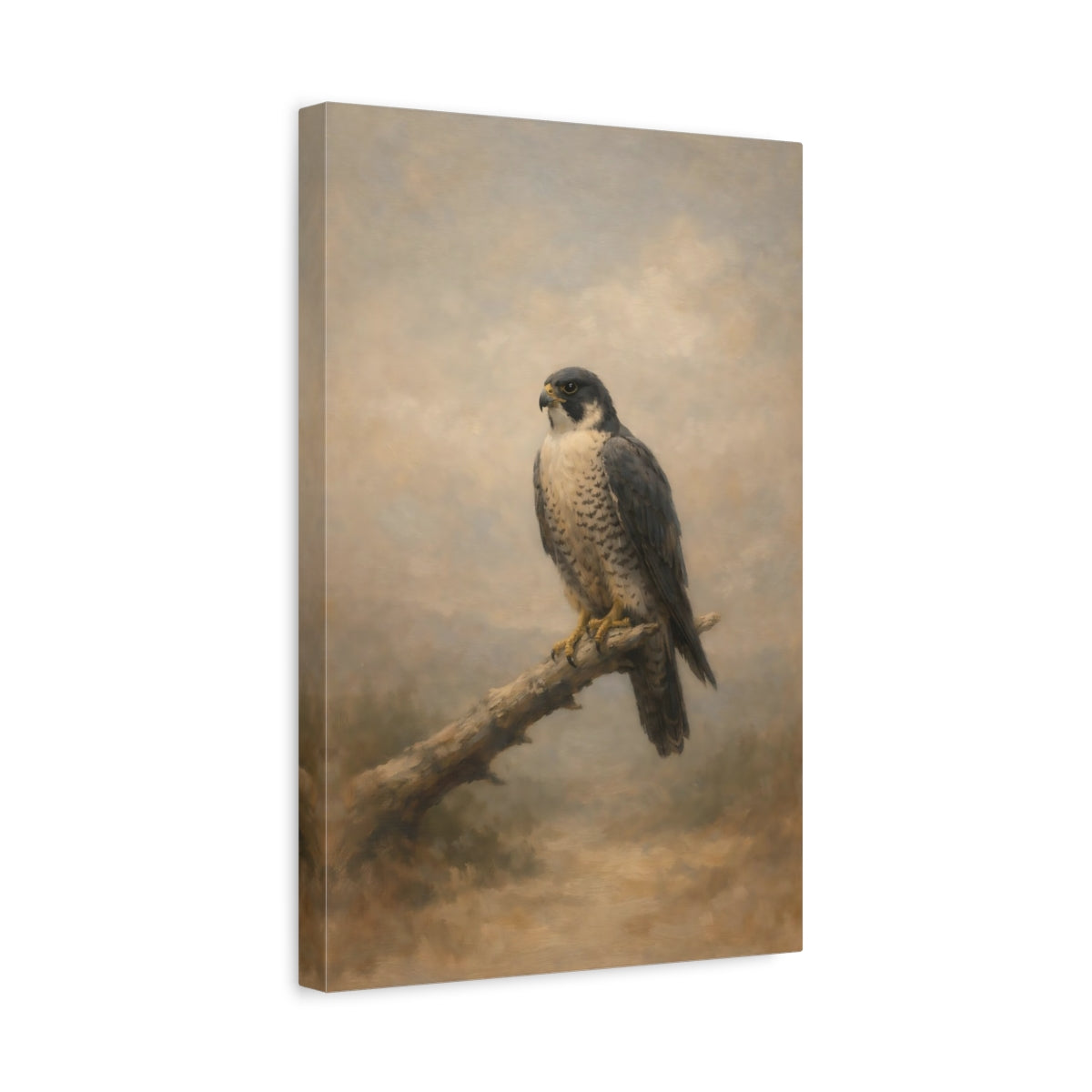 Side Mockup 4. Birds Peregrine Falcon Brown And Grey shown as stretched canvas wall art