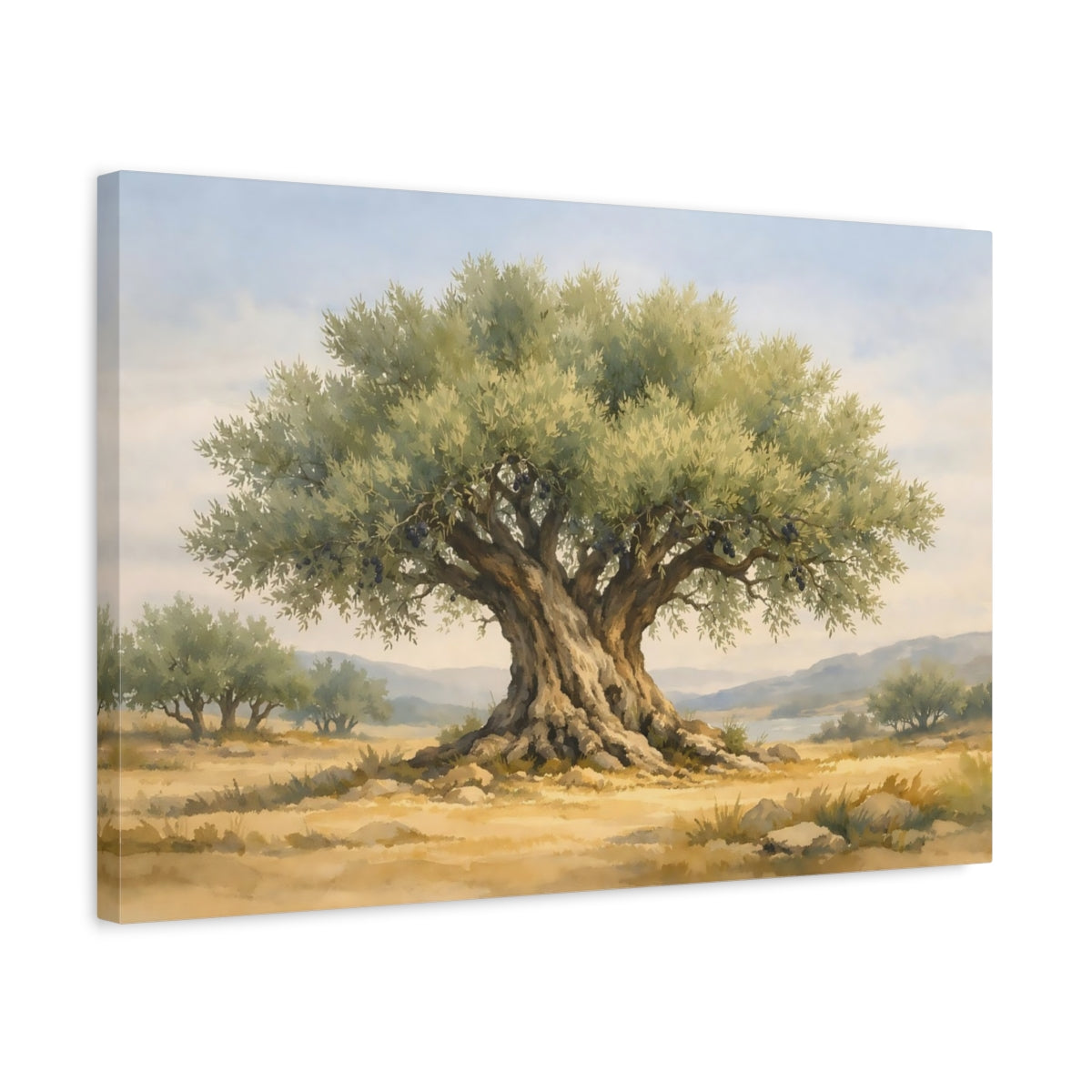 Watercolor Olive Tree Nature - Canvas Wall Art Print