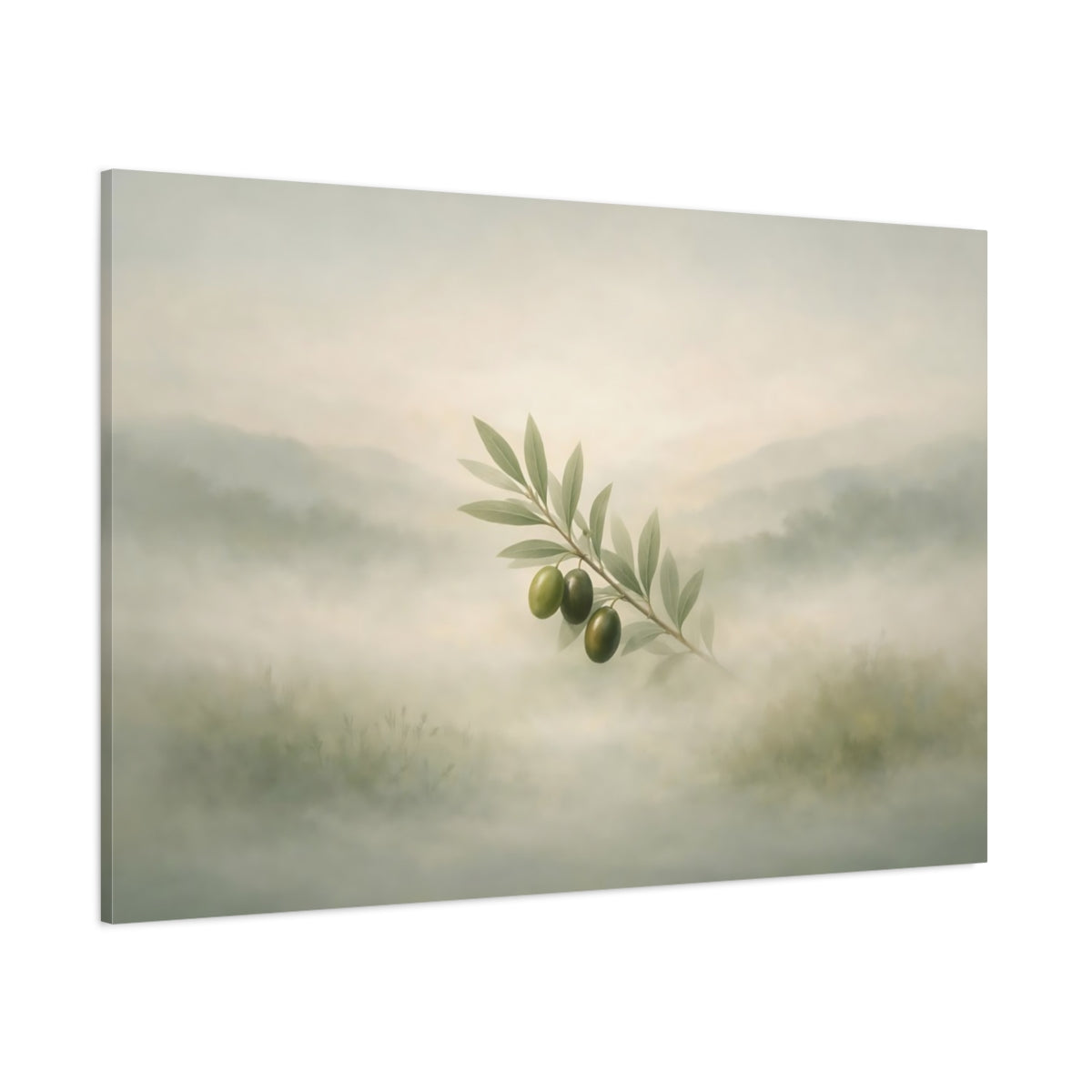 Mist Depth Olive Branch Nature - Canvas Wall Art Print