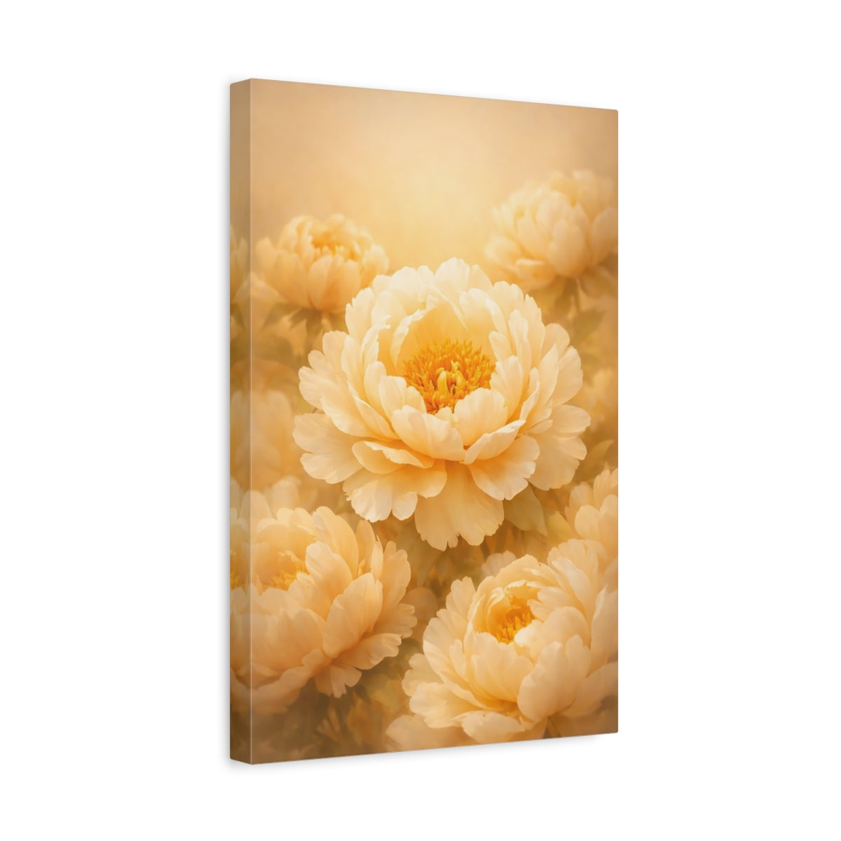 Floral Peonies Cream - Canvas Wall Art Print