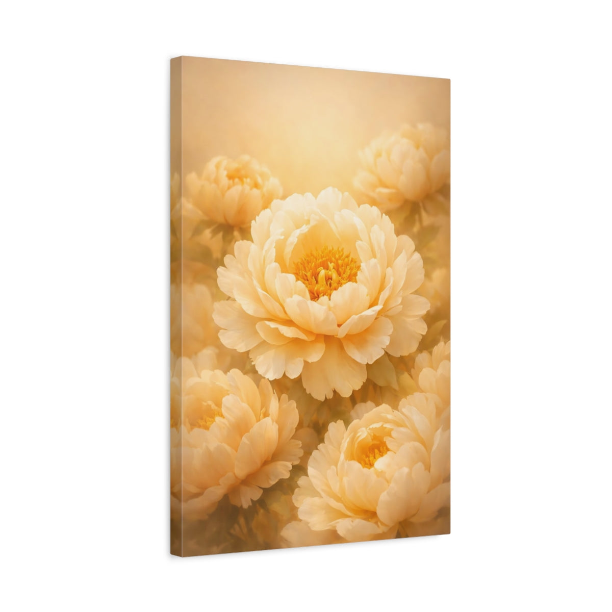Floral Peonies Cream - Canvas Wall Art Print