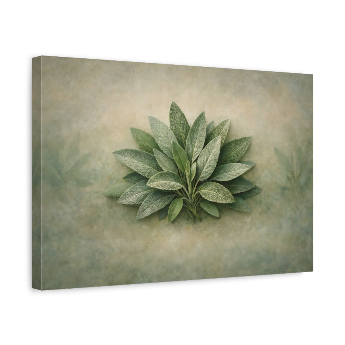 Décoration Murale sur Toile - Nature Feuilles de Sauge Contemporaines