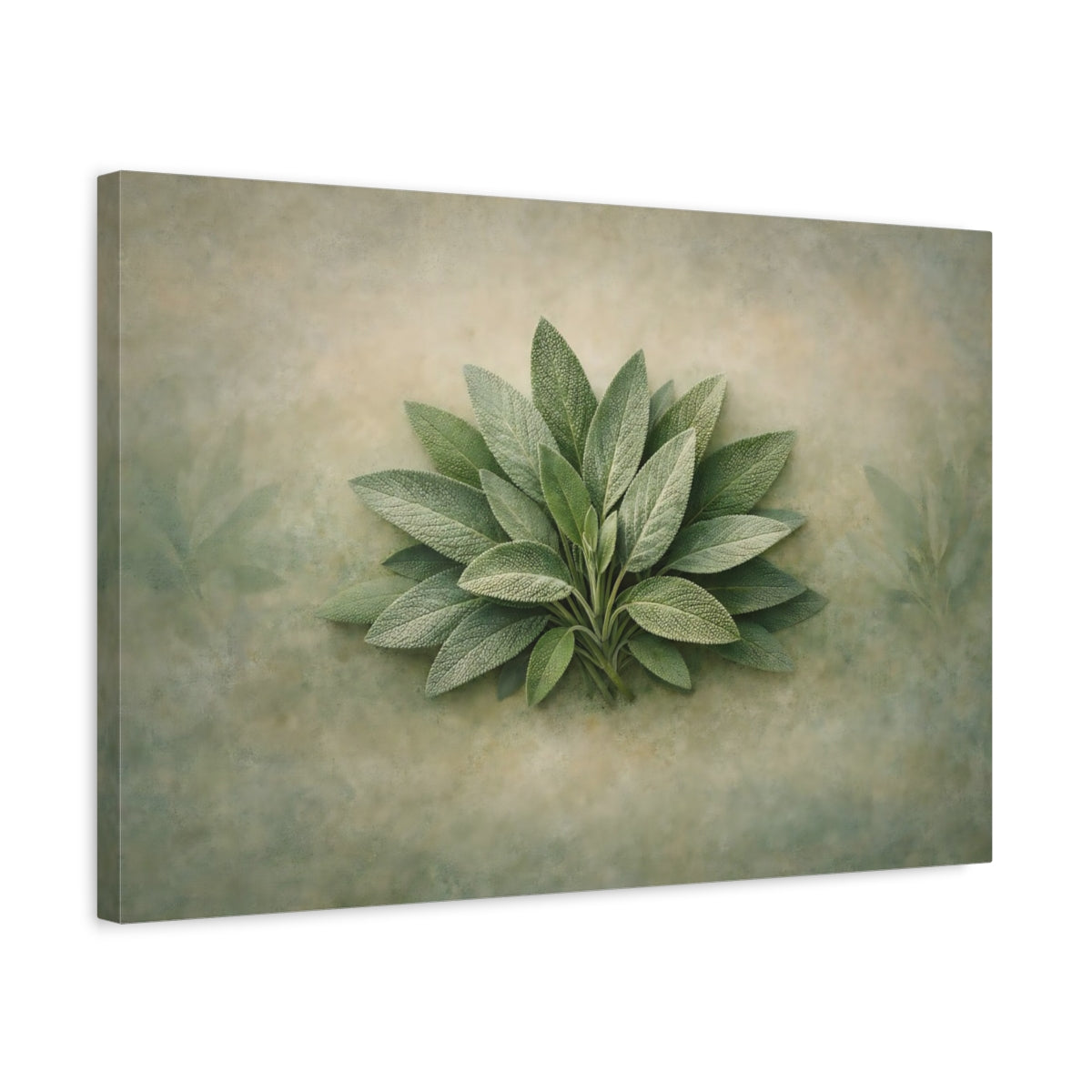 Décoration Murale sur Toile - Nature Feuilles de Sauge Contemporaines