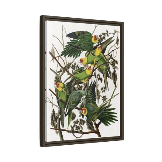 Birds Canvas Wall Art Print - Nature Audubon Wildlife Vintage Carolina Parakeet