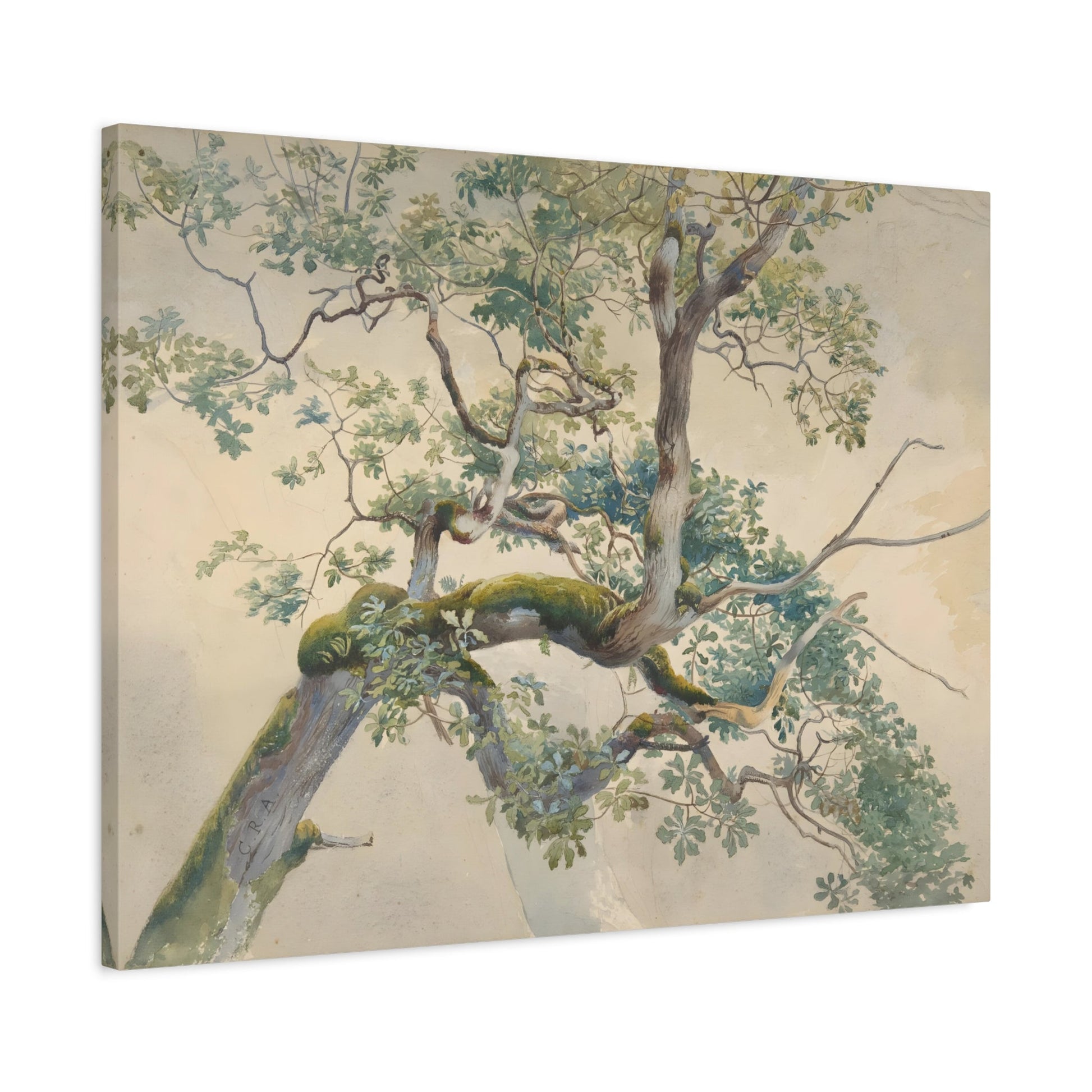 Charles Reginal Aston Tree Branches - Canvas Wall Art Reproduction