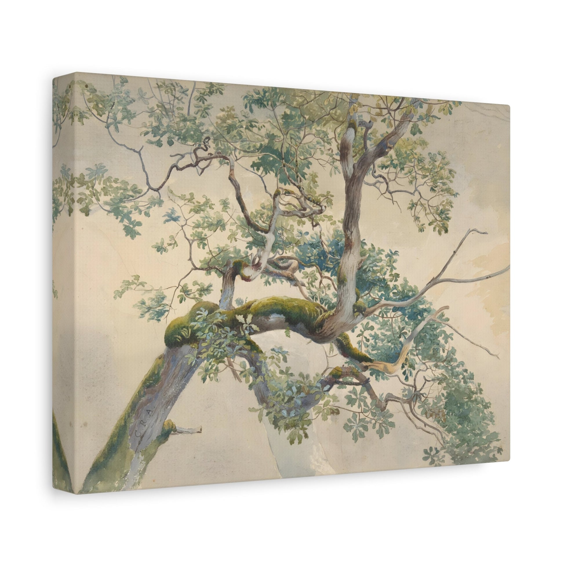 Charles Reginal Aston Tree Branches - Canvas Wall Art Reproduction