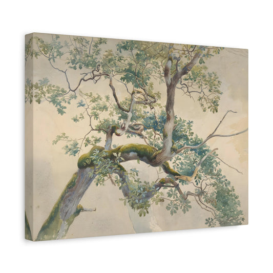 Charles Reginal Aston Tree Branches - Canvas Wall Art Reproduction