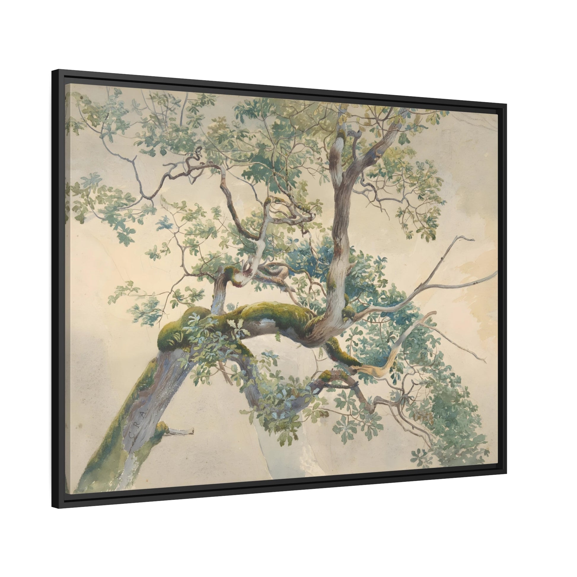 Charles Reginal Aston Tree Branches - Framed Canvas Art Print in Black Pinewood Frame