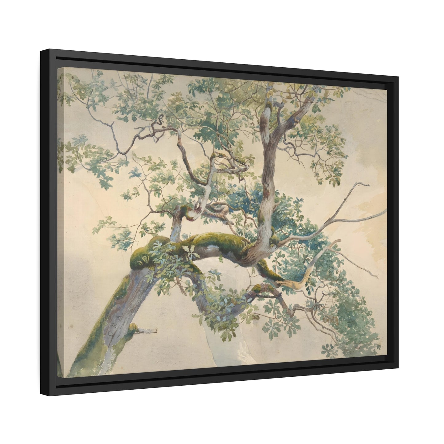 Charles Reginal Aston Tree Branches - Framed Canvas Art Print in Black Pinewood Frame