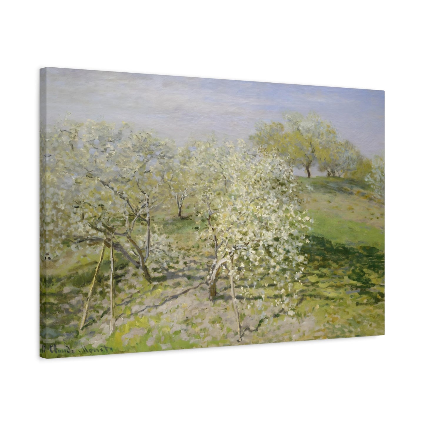 Claude Monet Trees in Blossom - Canvas Art Reproduction