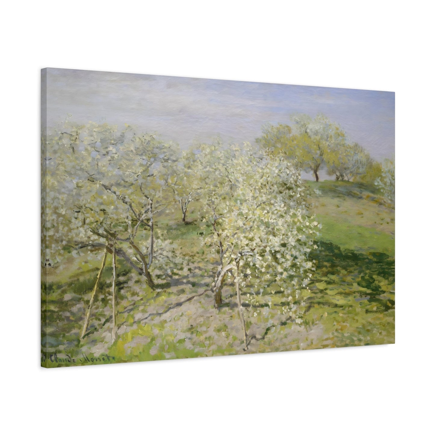 Claude Monet Trees in Blossom - Canvas Art Reproduction