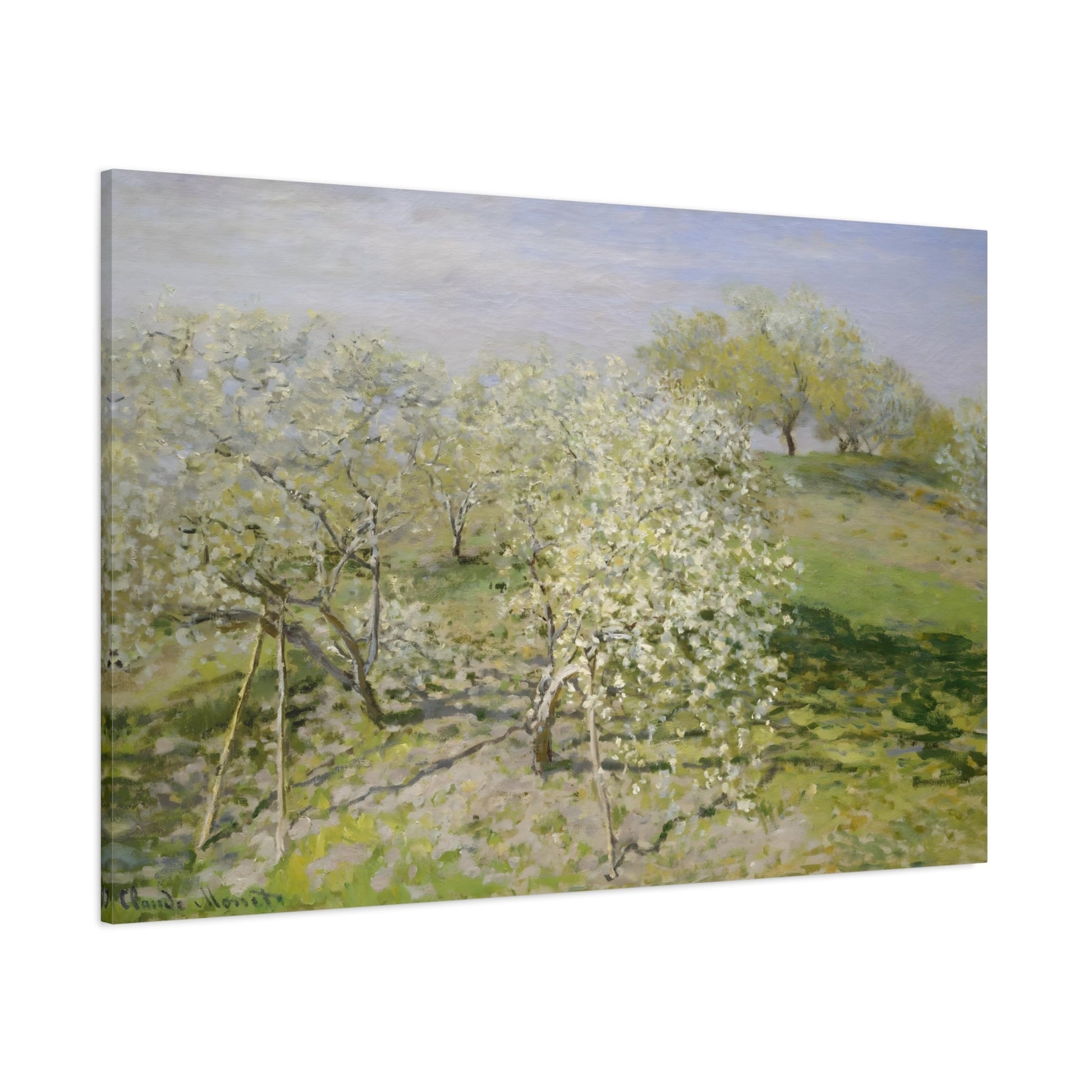 Claude Monet Trees in Blossom - Canvas Art Reproduction