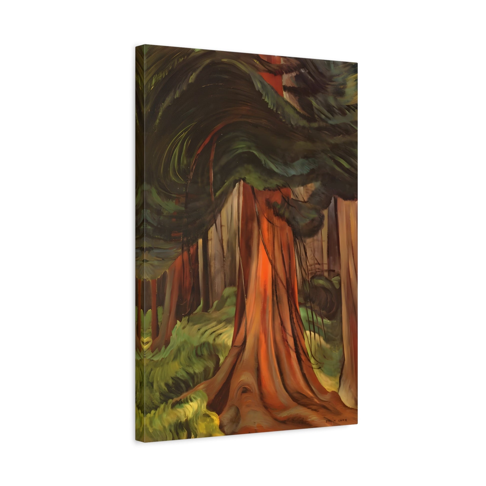 Emily Carr Red Cedar Canada Landscape Canvas Wall Art Print