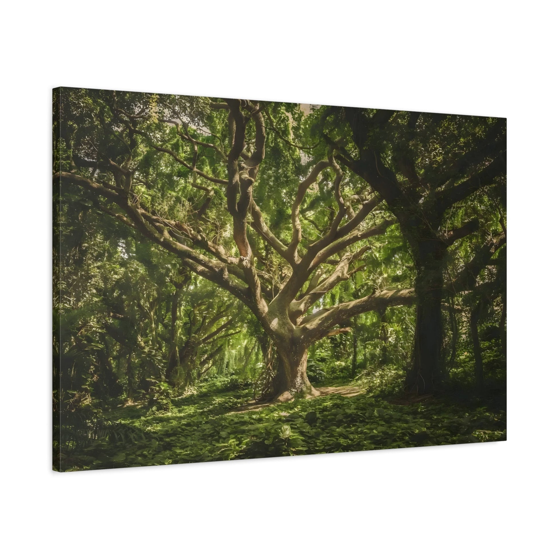 Green Forest Wall Art Canvas Print - Nature Tree Landscape for Living Room