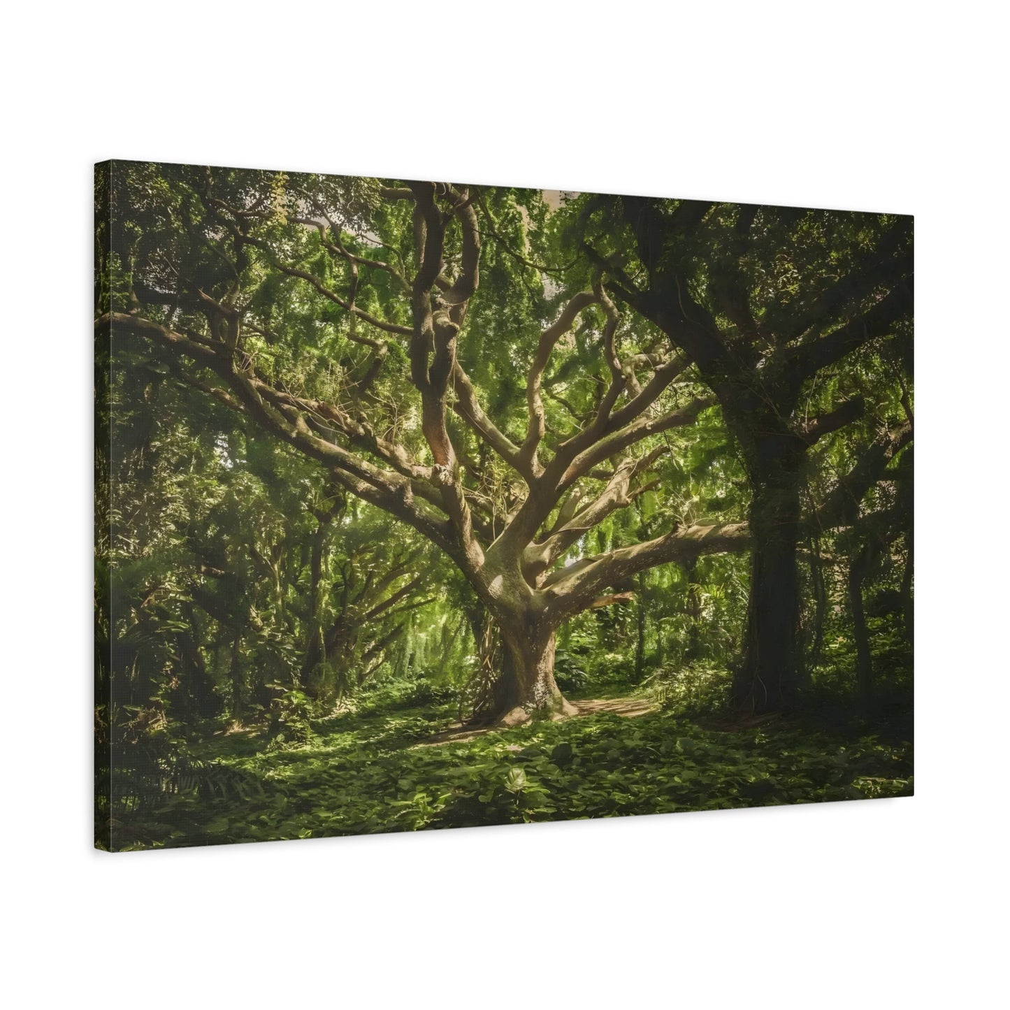 Green Forest Wall Art Canvas Print - Nature Tree Landscape for Living Room