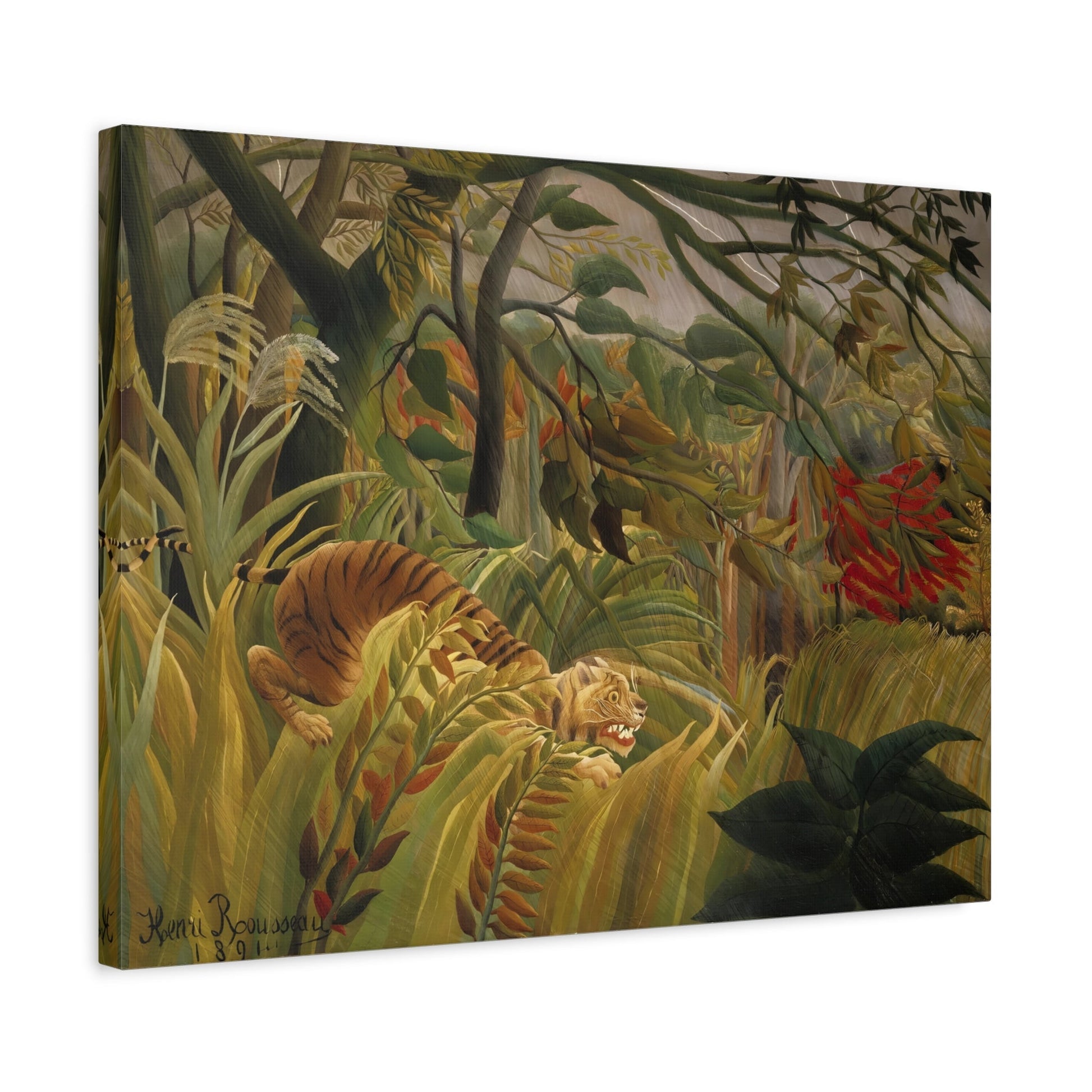 Henri Rousseau Tiger in a Tropical Storm - Animal Canvas Wall Art Print