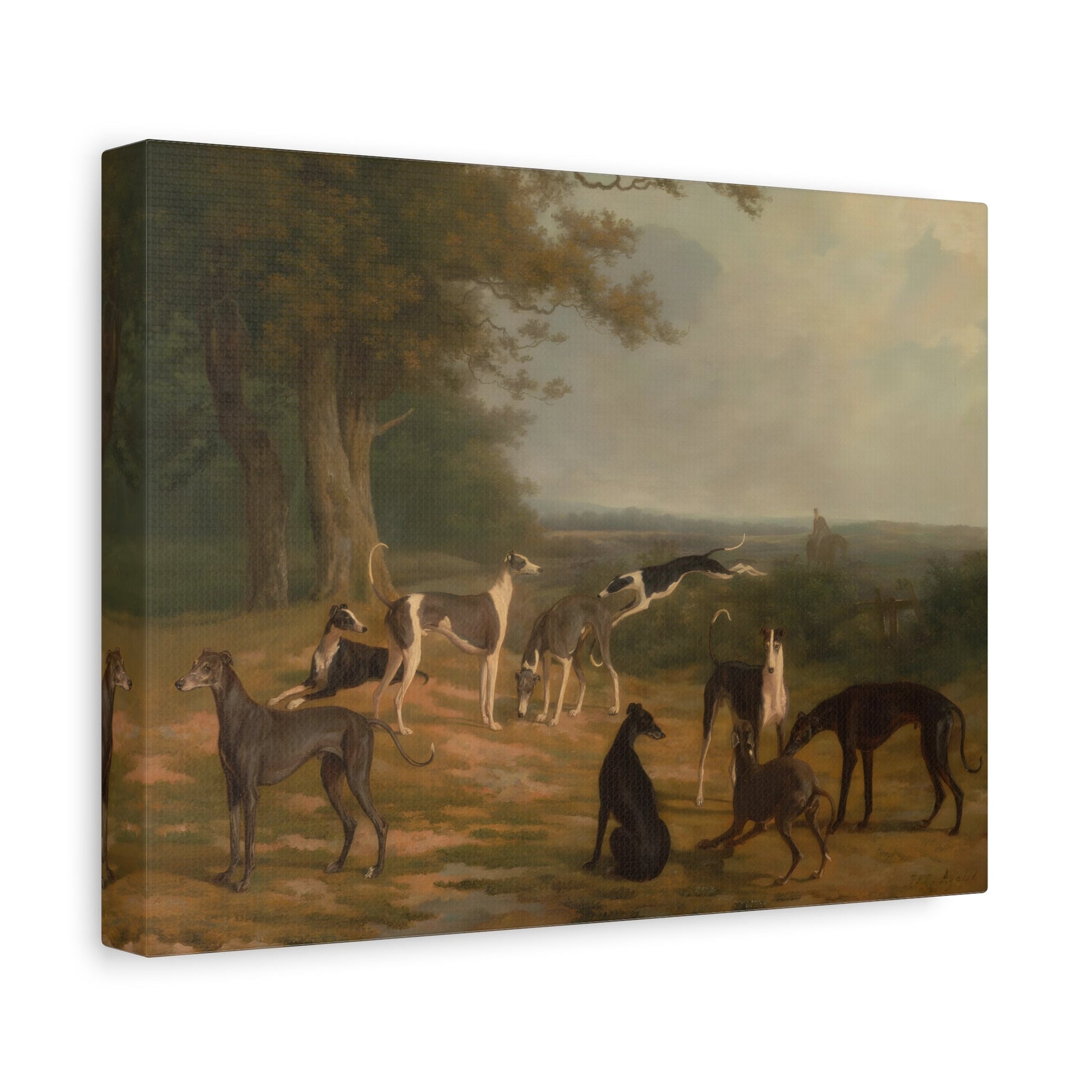 Jacques Agasse Nine Greyhounds Dog in a Landscape - Canvas Print