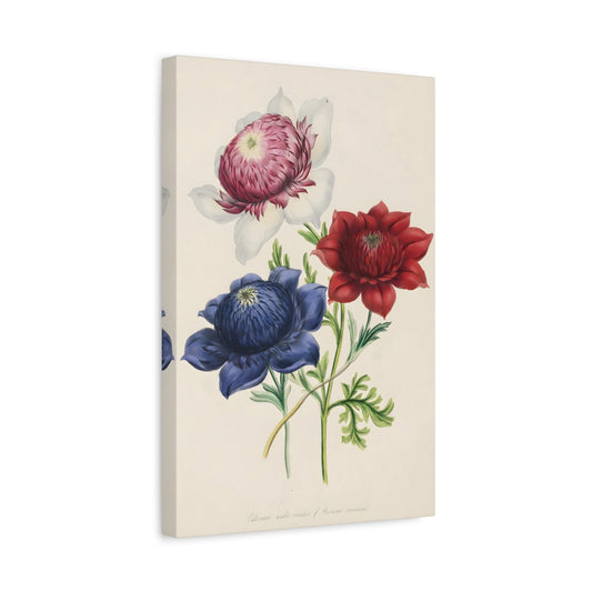 Jane Wells Loudon Ladies Flower Garden - Canvas Print Botanical Floral