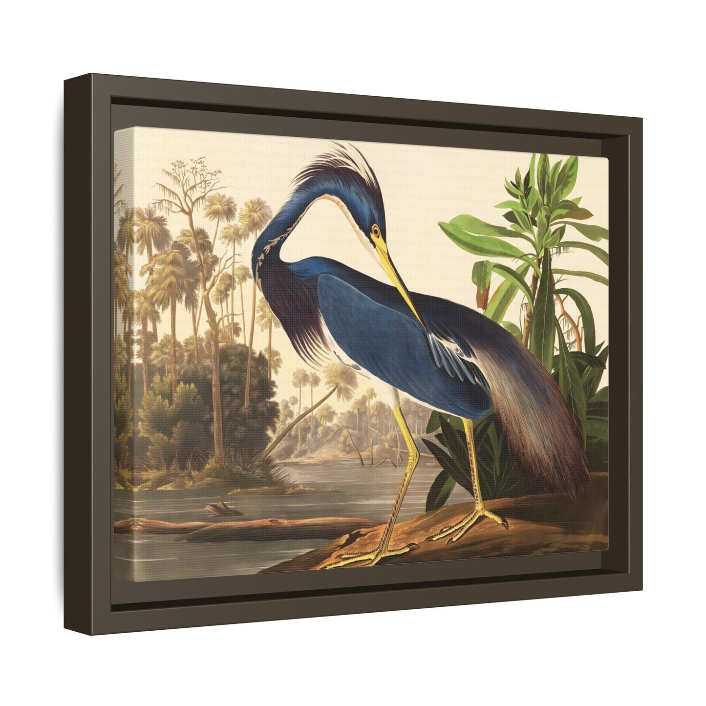 Louisiana Heron Canvas Audubon Wall Art Print - Framed America Bird Prints