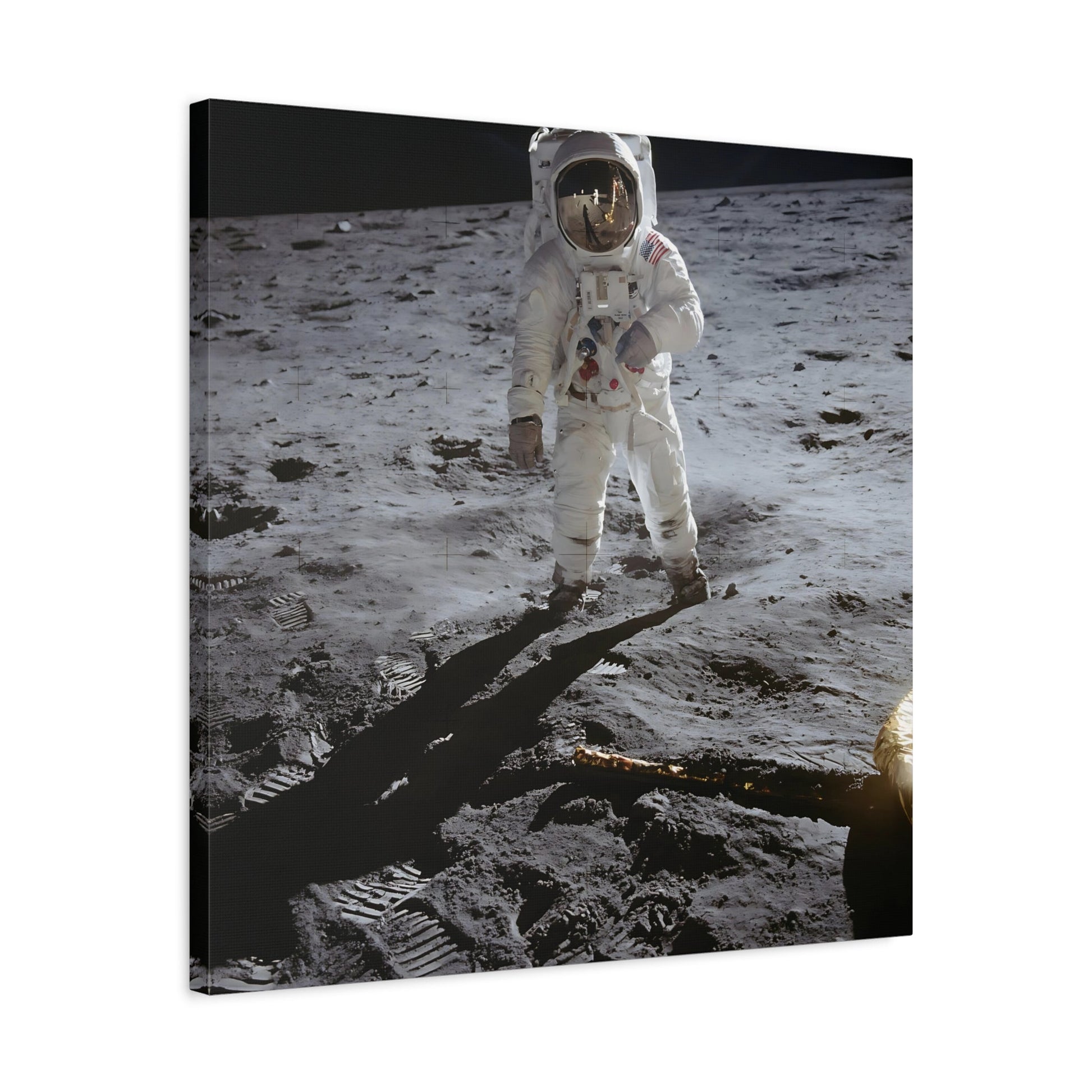 NASA Astronaut Canvas Wall Art - Mission Apollo Space Lovers