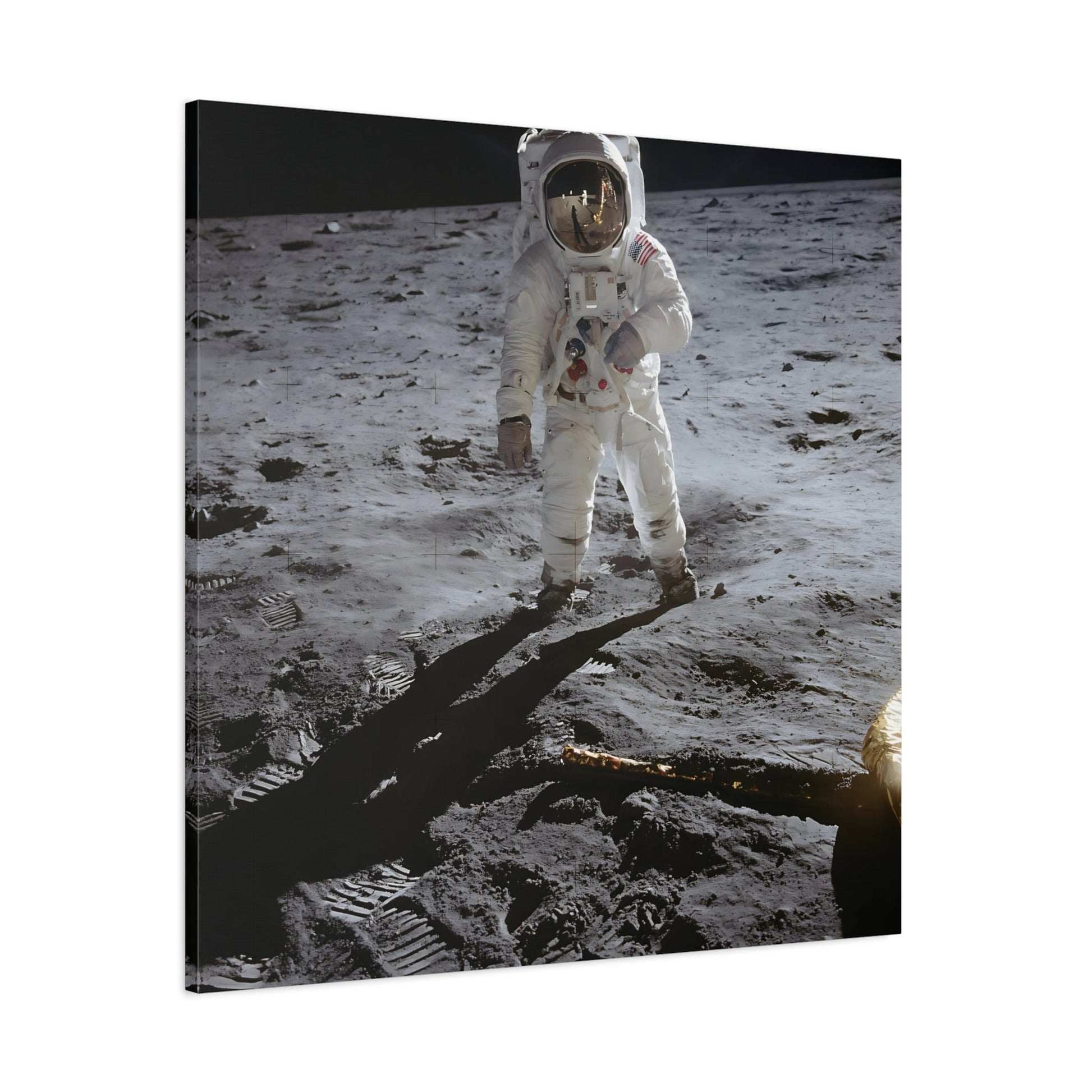 NASA Astronaut Canvas Wall Art - Mission Apollo Space Lovers