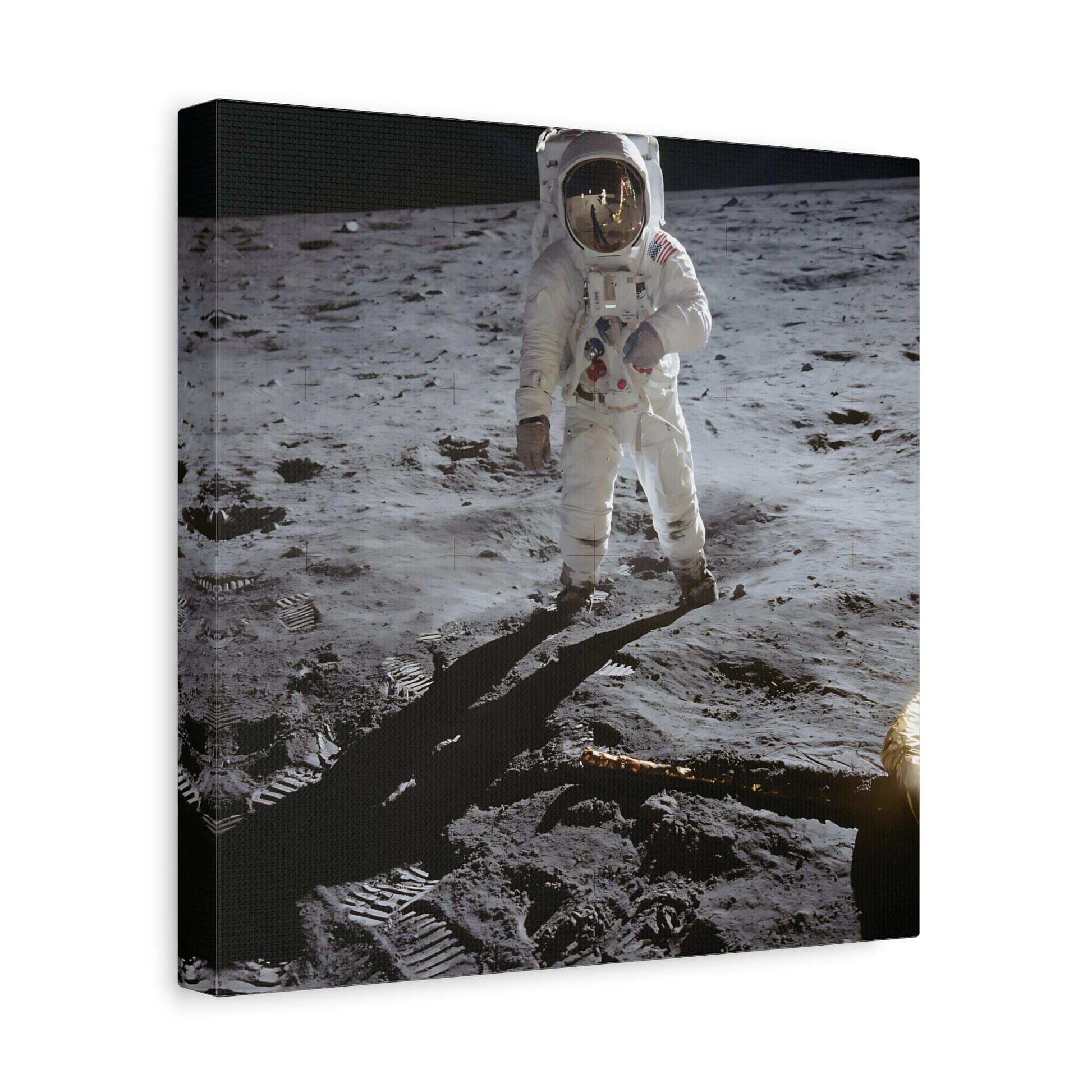 NASA Astronaut Canvas Wall Art - Mission Apollo Space Lovers