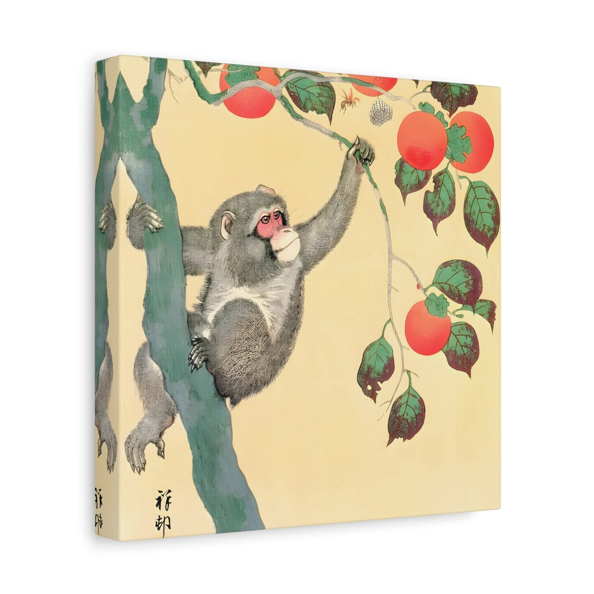 Ohara Koson Monkey Persimmon Tree - Square Canvas Wall Art Print