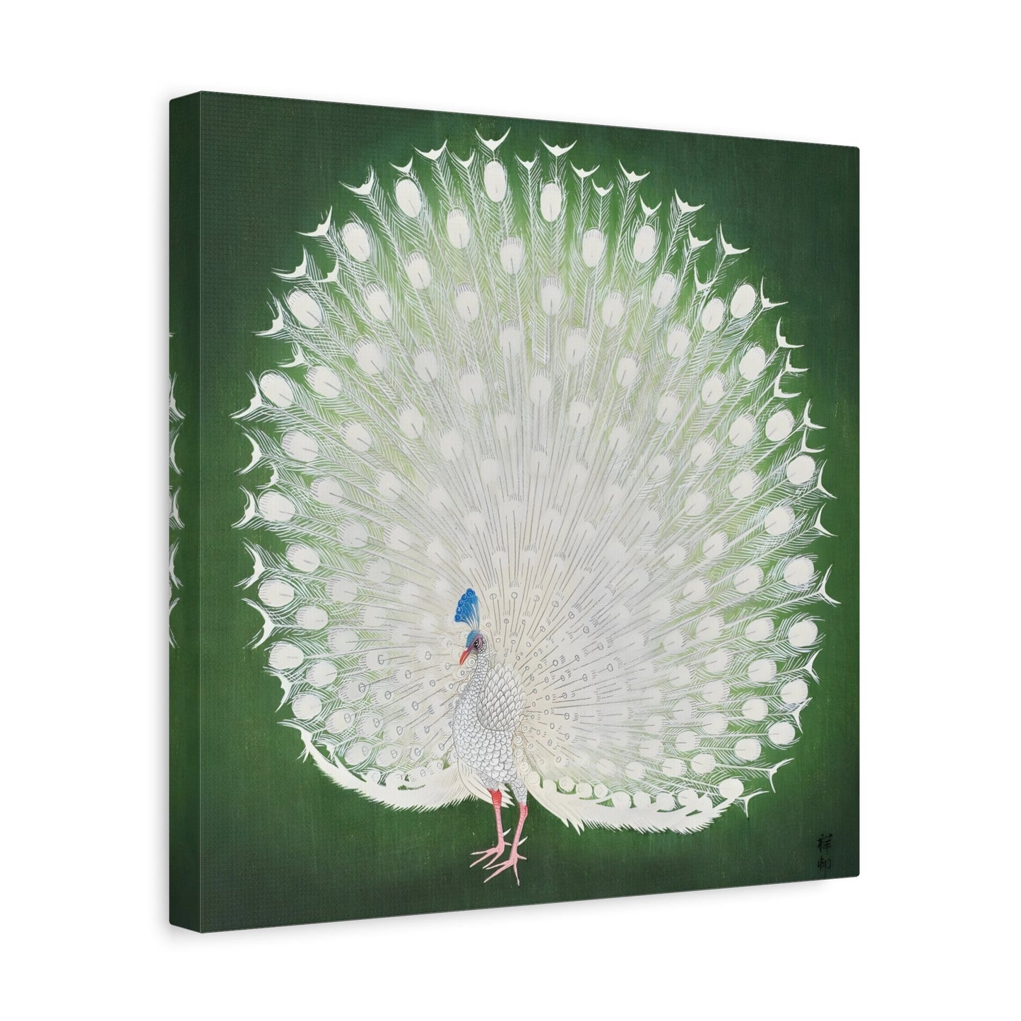 Ohara Koson White Peacock - Square Canvas Wall Art Print