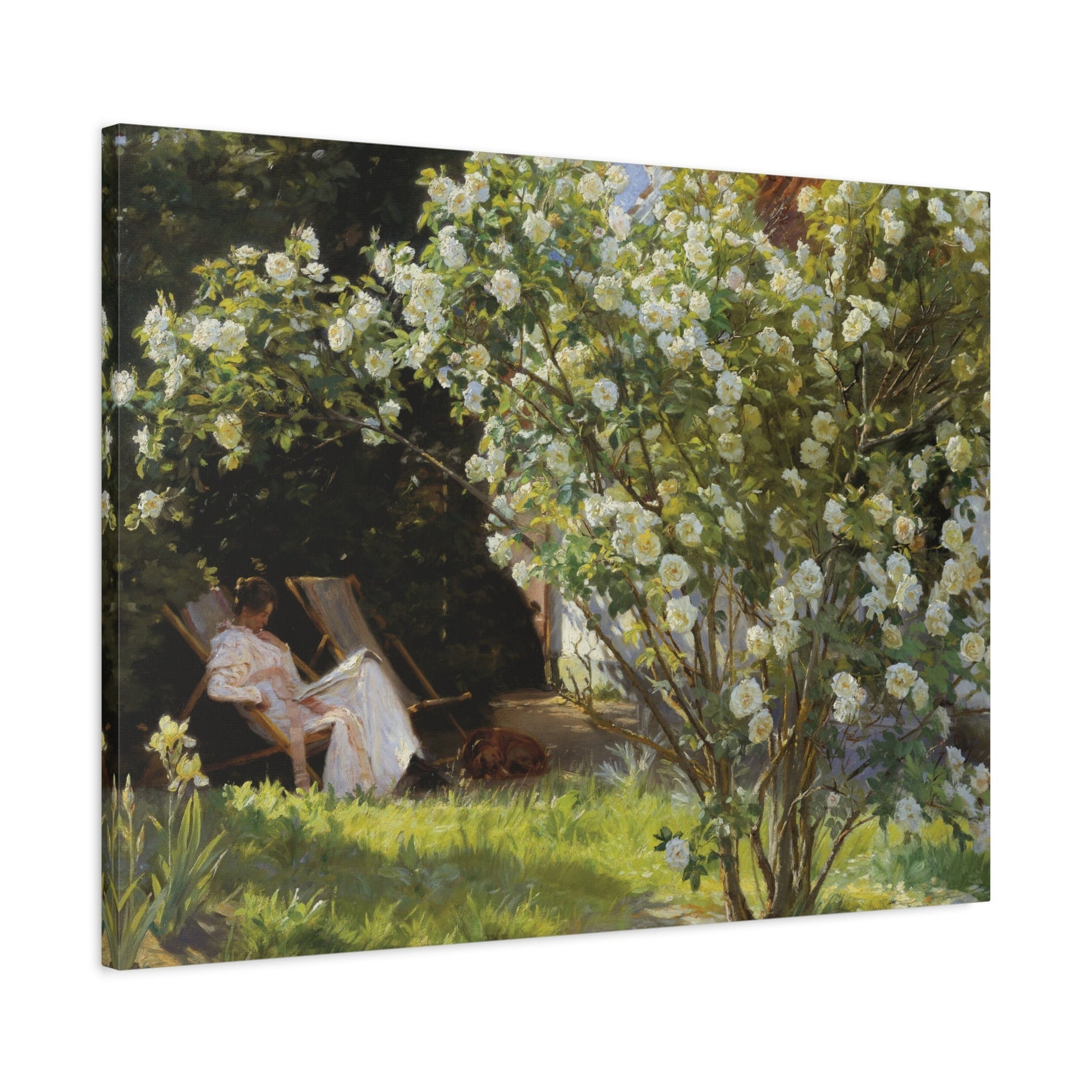 Peder Severin PS Kroyer Roses - Colorful Landscape Canvas Wall Art Print