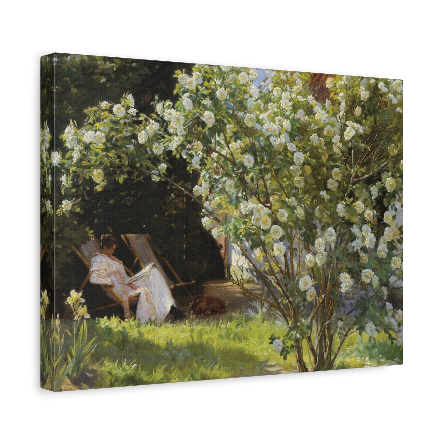 Peder Severin PS Kroyer Roses - Colorful Landscape Canvas Wall Art Print