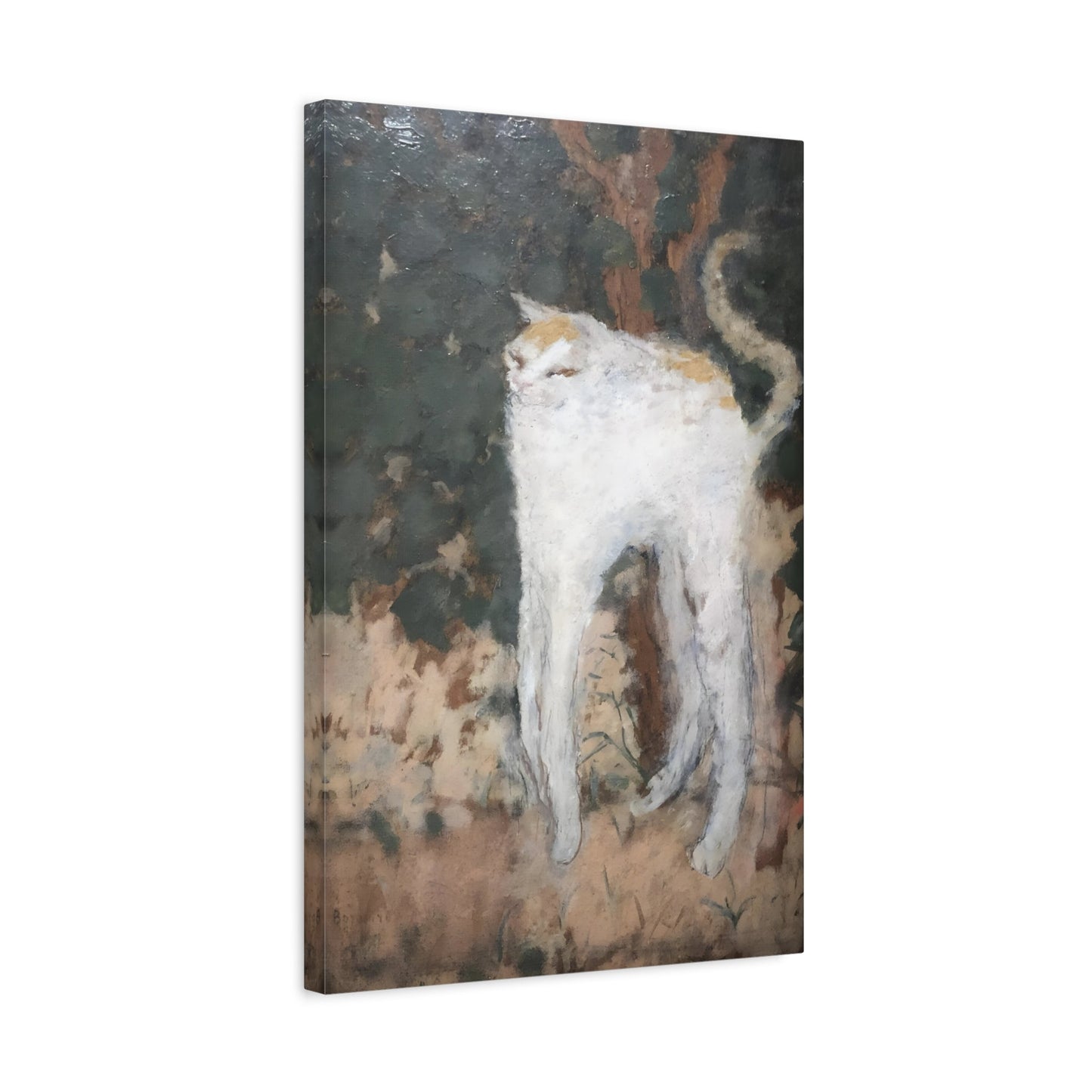 Pierre Bonnard White Cat - Canvas Art Print Animal Painting