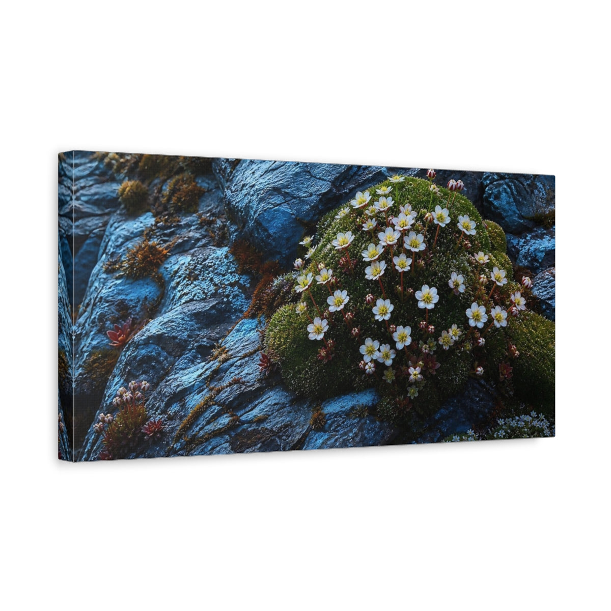 Side Mockup 3. Alpine Flowers Nature shown as canvas print