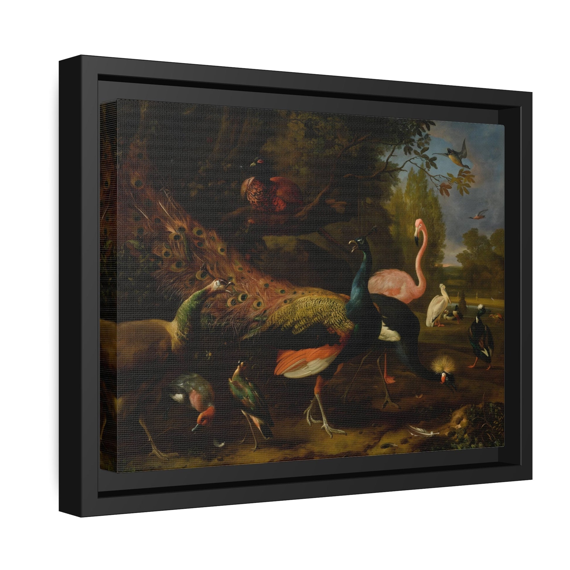 Animal Canvas Wall Art Prints - Birds Peacock Peahen Flamingo Crane Pheasant Pelican Duck in Frame