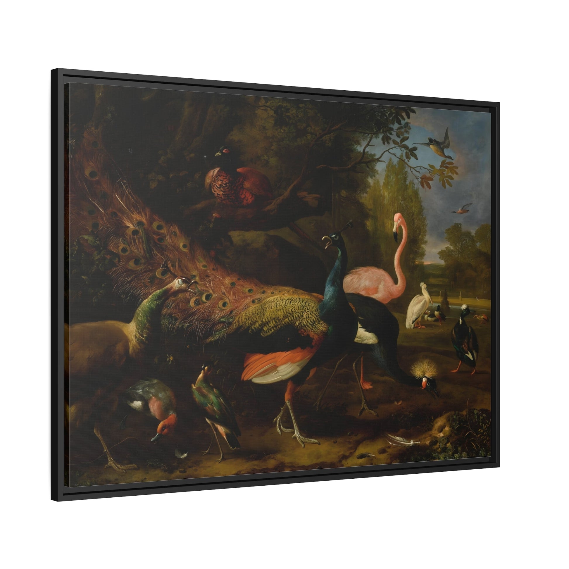 Animal Canvas Wall Art Prints - Birds Peacock Peahen Flamingo Crane Pheasant Pelican Duck in Frame