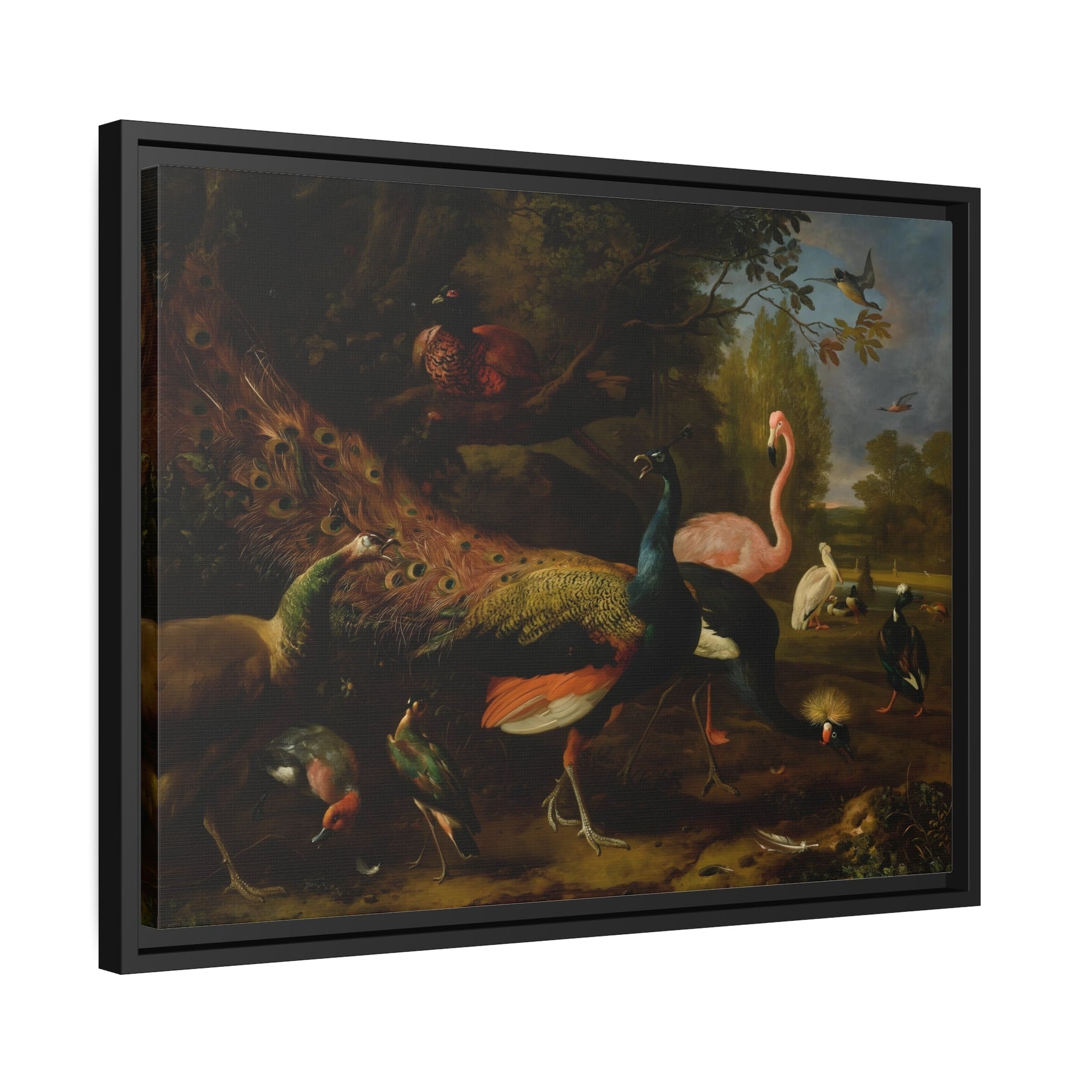 Animal Canvas Wall Art Prints - Birds Peacock Peahen Flamingo Crane Pheasant Pelican Duck in Frame