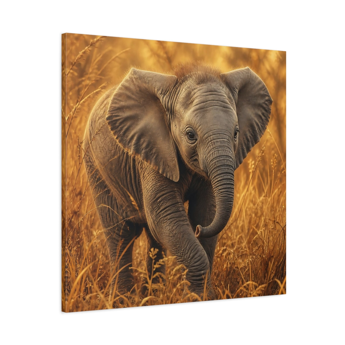 Main Mockup. Animals Baby Elephant Baby Elephant Golden shown as canvas print