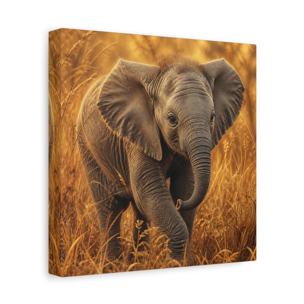 Animals Baby Elephant Golden Canvas Print – realistic Nursery, Feature Wall - YesArtYes